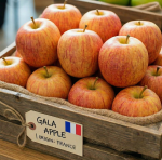 GALA APPLE | FRANCE
