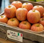 GALA APPLE | ITALY
