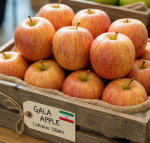 GALA APPLE | IRAN